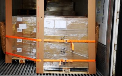 Reefer – perfekte Ladungssicherung